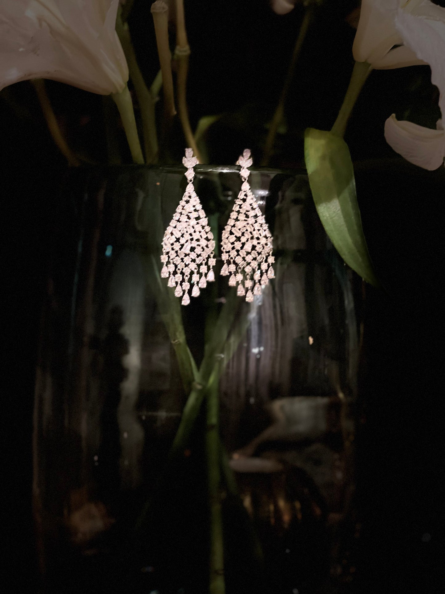 Gorgeous Zircon drop earrings