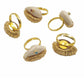 Cowri ring